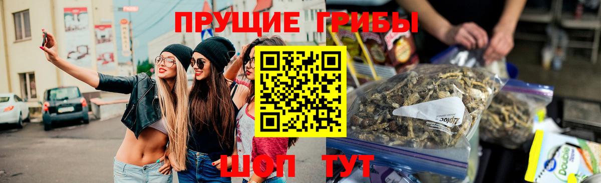 Сухой Лог  Псилоцибиновые грибы прущие грибы  магазин продажи   Вход с VPN 